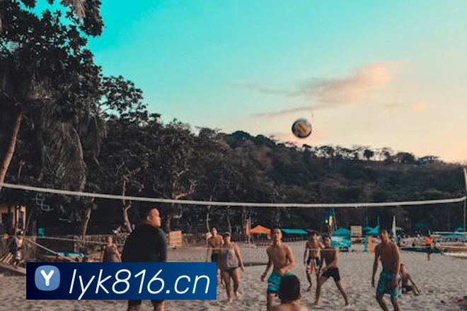 爱游戏ayx正版入口平台生态图