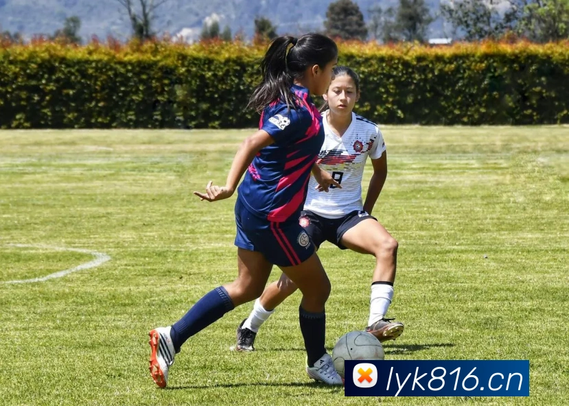 辅助工具 辅助工具